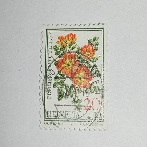 USED - HELVETIA 20 POSTAGE STAMPUSED - HELVETIA 20 POSTAGE STAMP USED - HELVETIA 20 POSTAGE STAMP