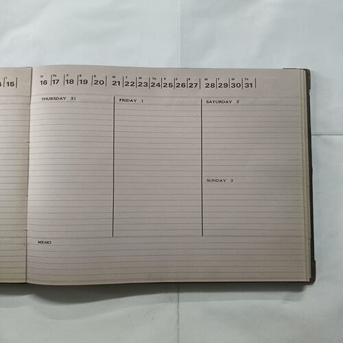Document_8 Diary 1994