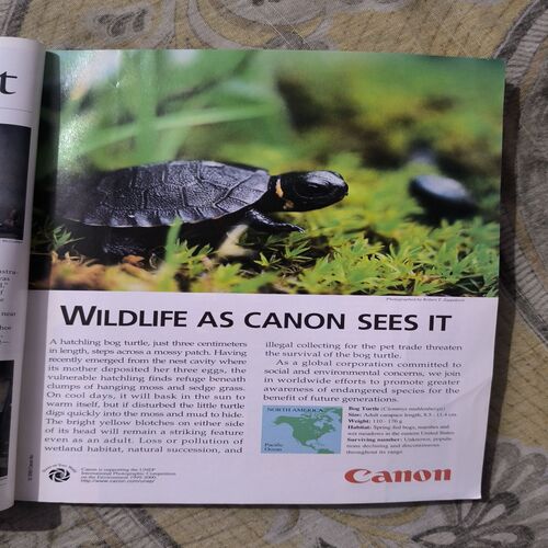 Document_87 National Geographic ( April 2000 )