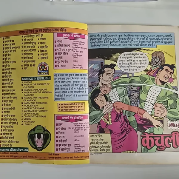 Kanchuli (केंचुली)
