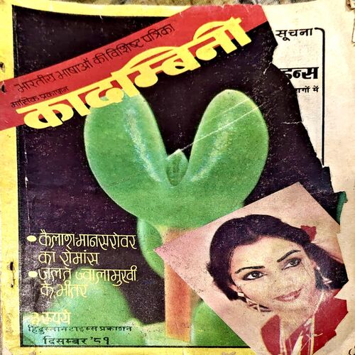 trashed-1794292351-Document 87_46 Kadambini (Dec 1981) (back cover is missng)